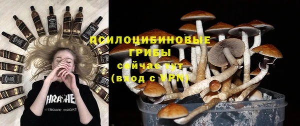 бутират Алексин
