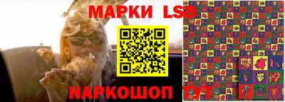 гашик Тулун
