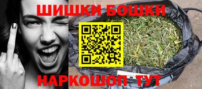 гашик Тулун