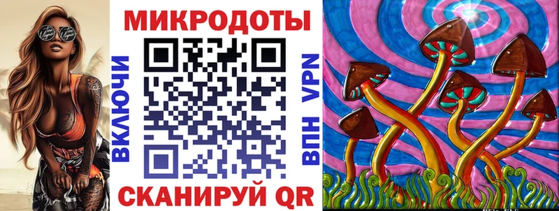 Псилоцибиновые грибы Psilocybe  Тара 