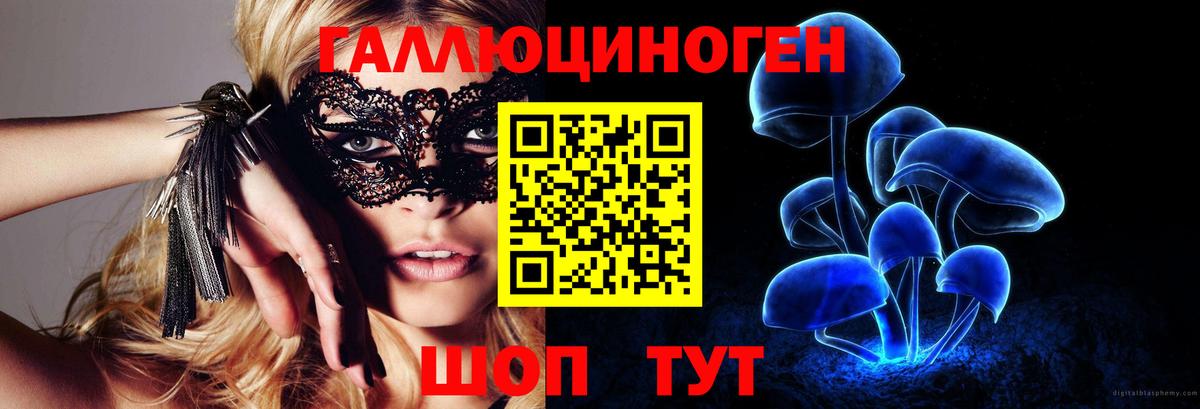 Псилоцибиновые грибы GOLDEN TEACHER Тара