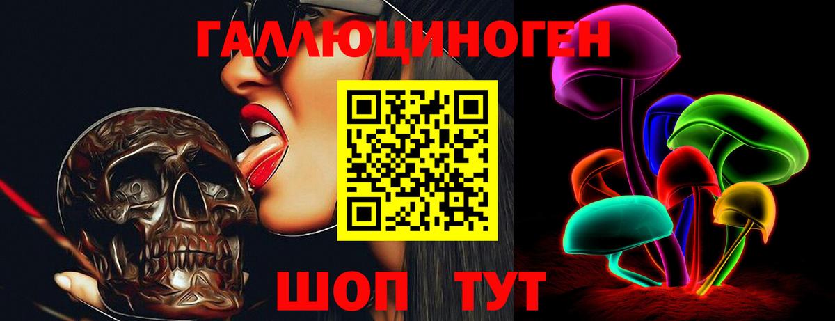 цена наркотик  Вход с VPN  Тара  Галлюциногенные грибы Psilocybe 